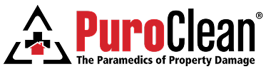 Puro clean logo